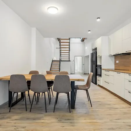 Apartment Spacious Two-storey With A Terrace In The Center Benesov (Central Bohemian)