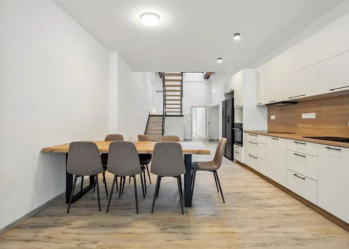 Apartment Spacious Two-storey With A Terrace In The Center Benesov (Central Bohemian)